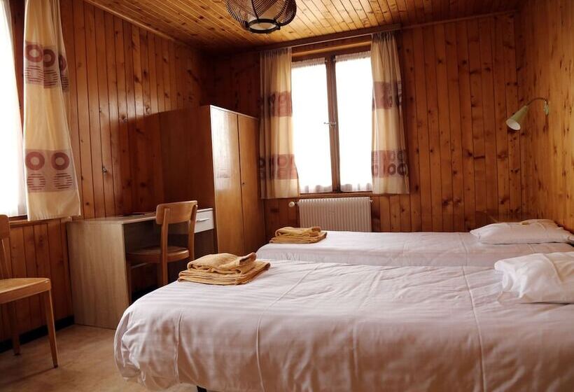 اتاق استاندارد با سرویس بهداشتی مشترک, Hôtel De Torgon
