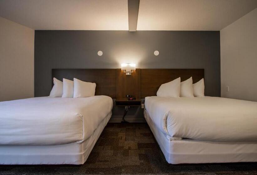 اتاق لوکس, Bedrock Motel