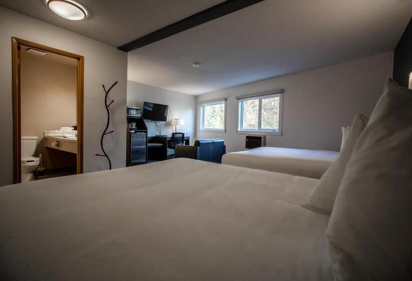 اتاق لوکس, Bedrock Motel