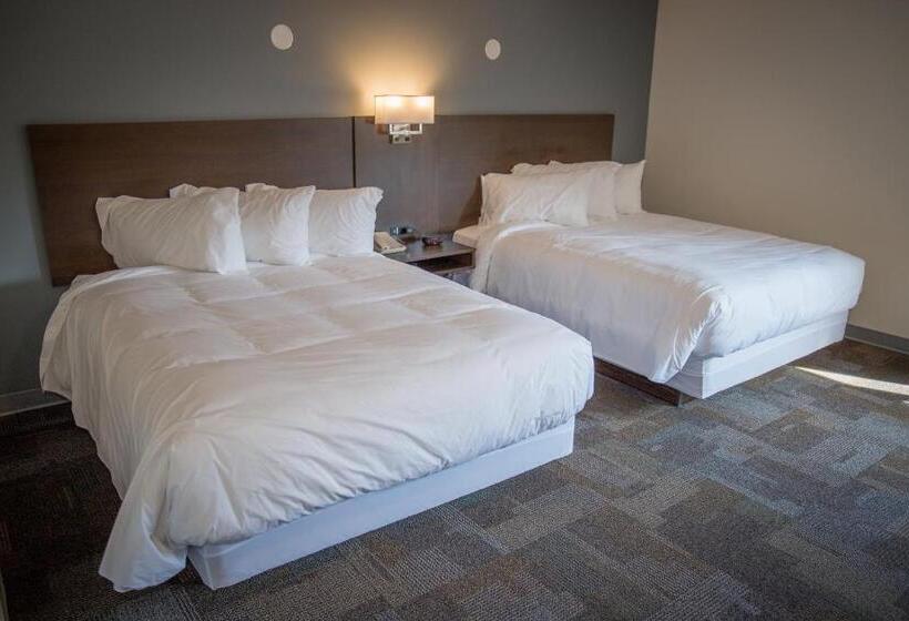 اتاق استاندارد, Bedrock Motel