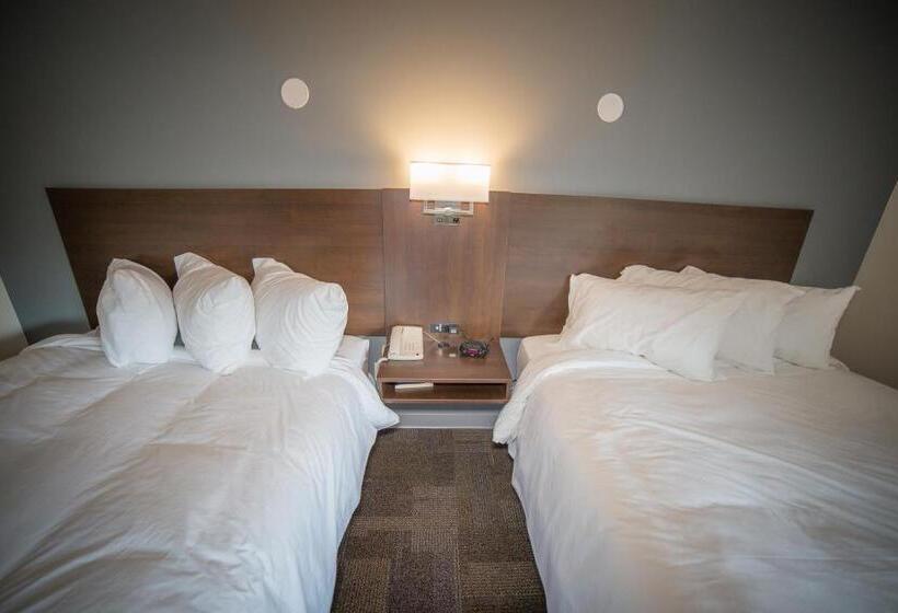 اتاق استاندارد, Bedrock Motel