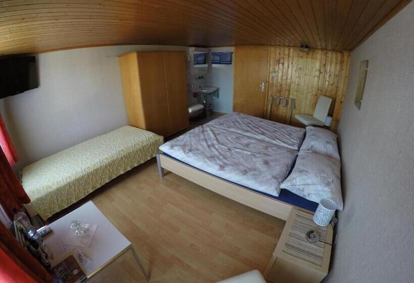 غرفة قياسية ثلاثية حمام مشترك, Garni Traube B&b