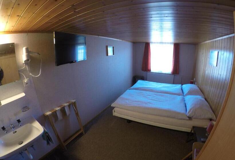 غرفة قياسية حمام مشترك, Garni Traube B&b