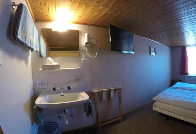 غرفة قياسية حمام مشترك, Garni Traube B&b