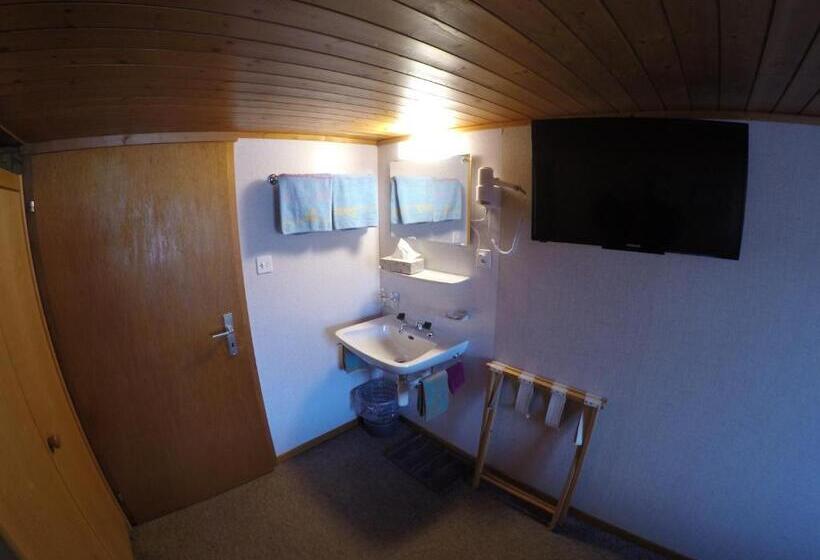 غرفة قياسية حمام مشترك, Garni Traube B&b