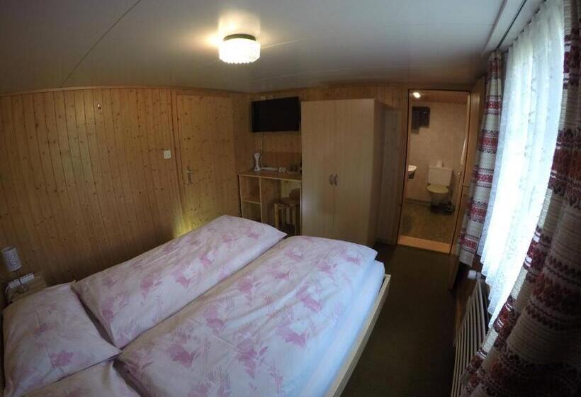 غرفة قياسية, Garni Traube B&b