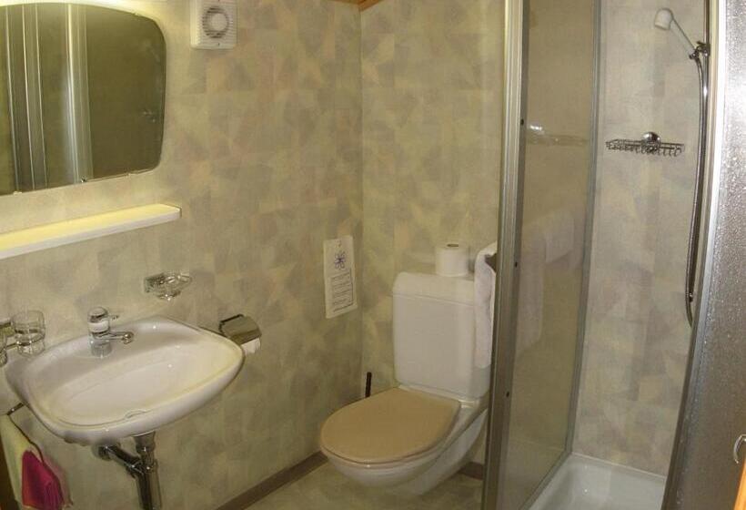 غرفة قياسية فردية, Garni Traube B&b