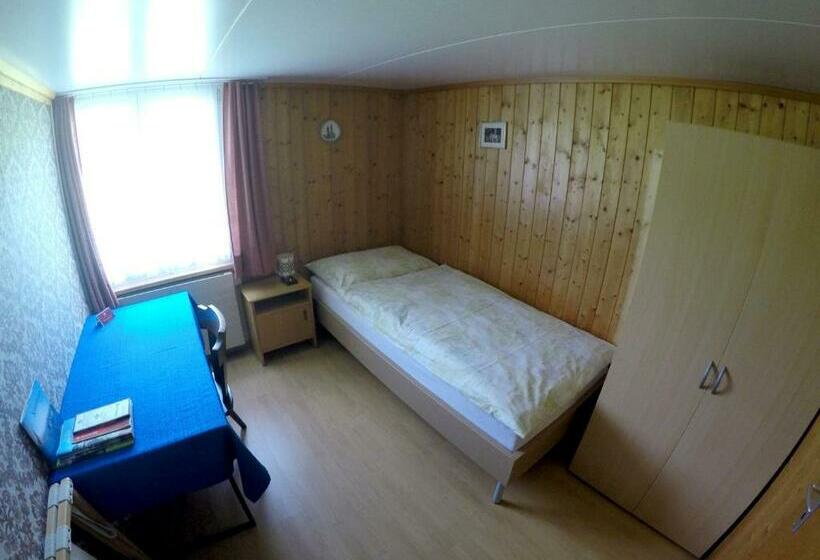 غرفة قياسية فردية حمام مشترك, Garni Traube B&b