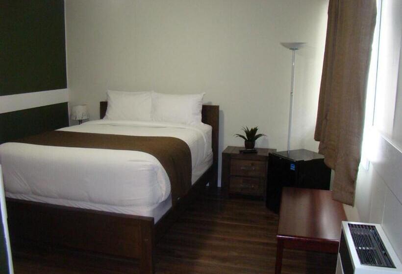 اتاق استاندارد, Paddock Inn