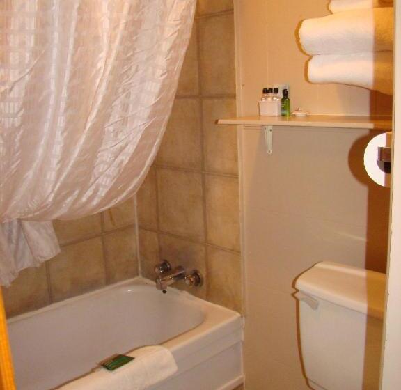 اتاق استاندارد, Paddock Inn