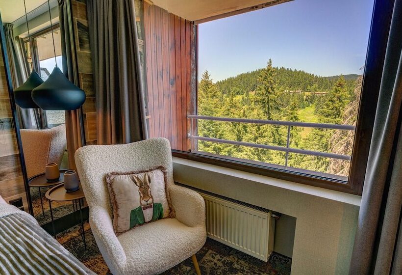 آپارتمان سوپریور 1 خوابه, Grand Hotel Murgavets