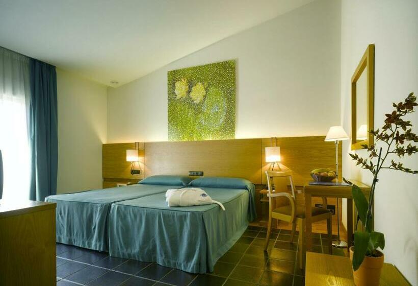 اتاق استاندارد با دسترسی به اسپا, Balneario De Archena   Hotel Levante