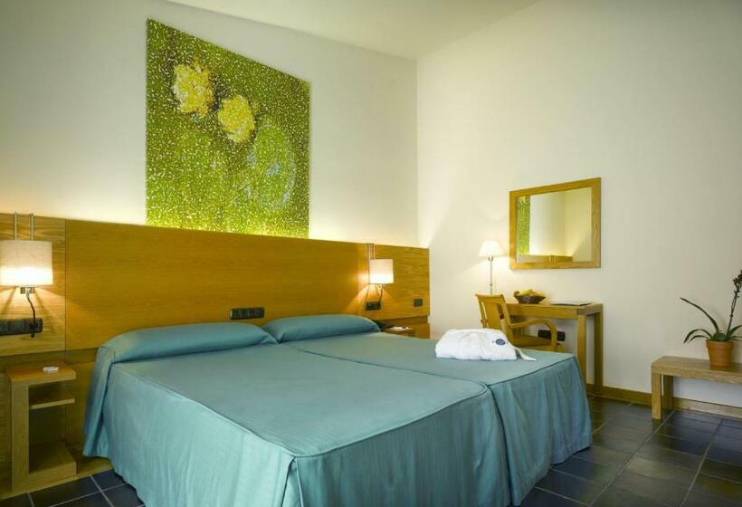 اتاق استاندارد با دسترسی به اسپا, Balneario De Archena   Hotel Levante