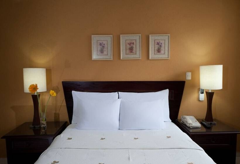 Standard Room, Hodelpa Centro Plaza