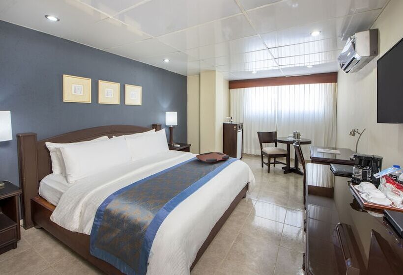 Standard Room, Hodelpa Centro Plaza