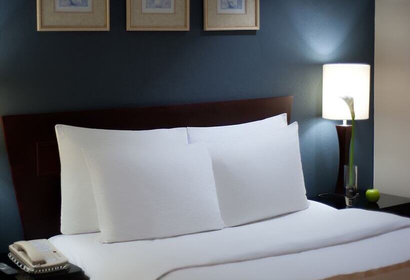 Standard Room, Hodelpa Centro Plaza