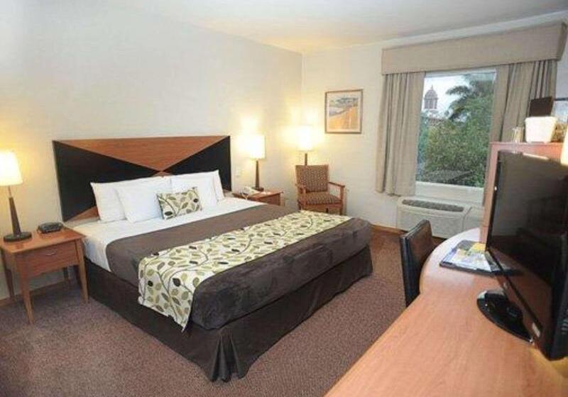 キングサイズベッドのスタンダードルーム, Sleep Inn Paseo Las Damas