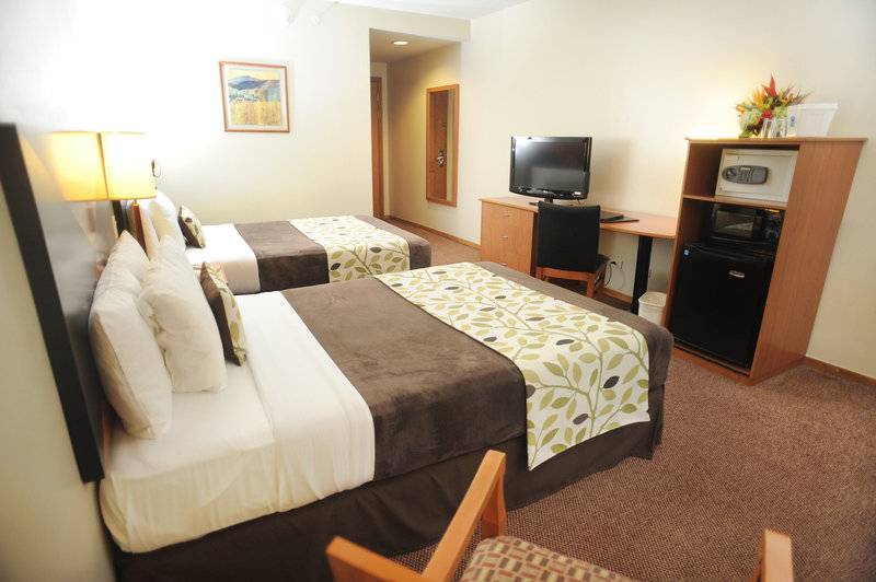 スタンダードルーム, Sleep Inn Paseo Las Damas