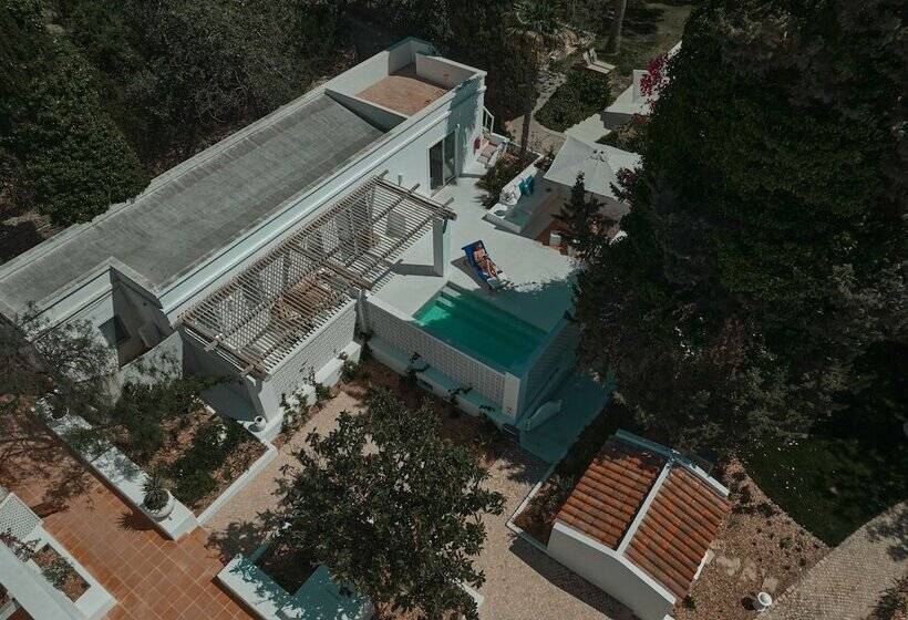 سوییت, Octant Vila Monte