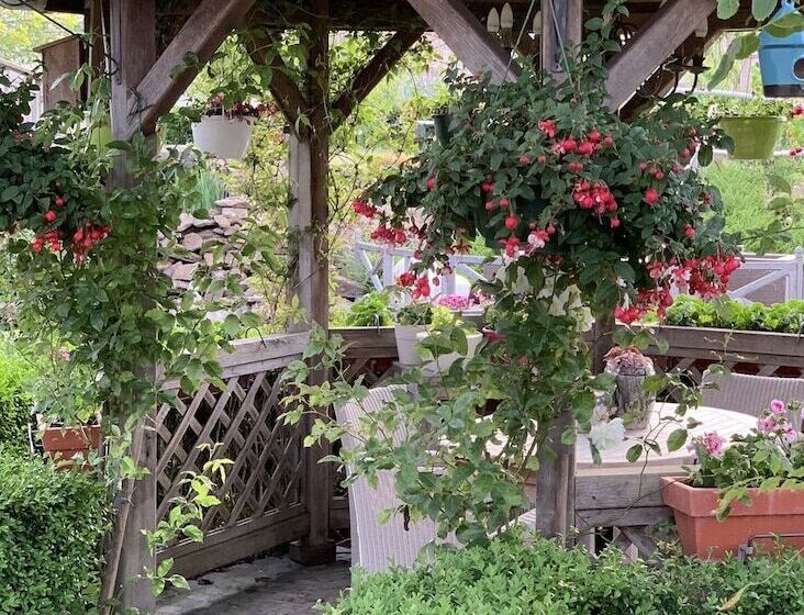 اتاق لوکس, B&b De Rentmeesterhoeve