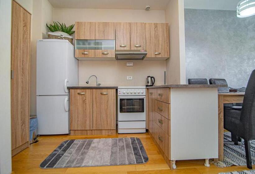 آپارتمان 1 خوابه با تراس, Luxury Kalman Centar Apartman