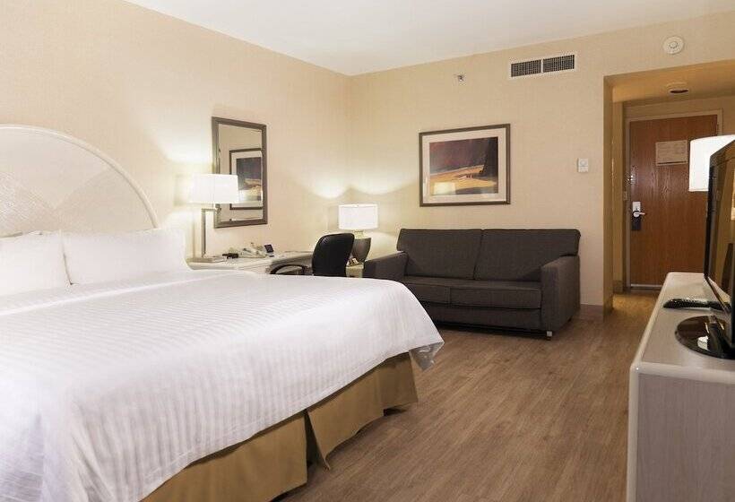 Standard Room, Holiday Inn Express Torreon