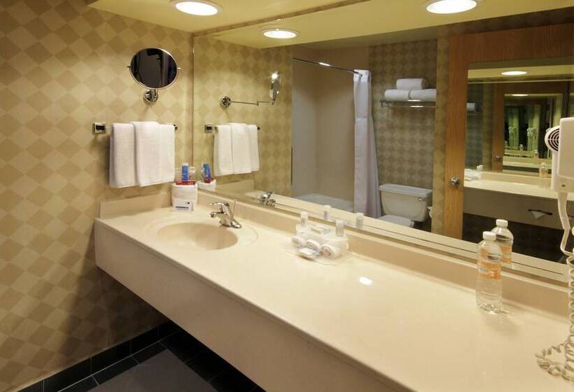 اتاق استاندارد با 2 تخت دوبل, Holiday Inn Express Torreon