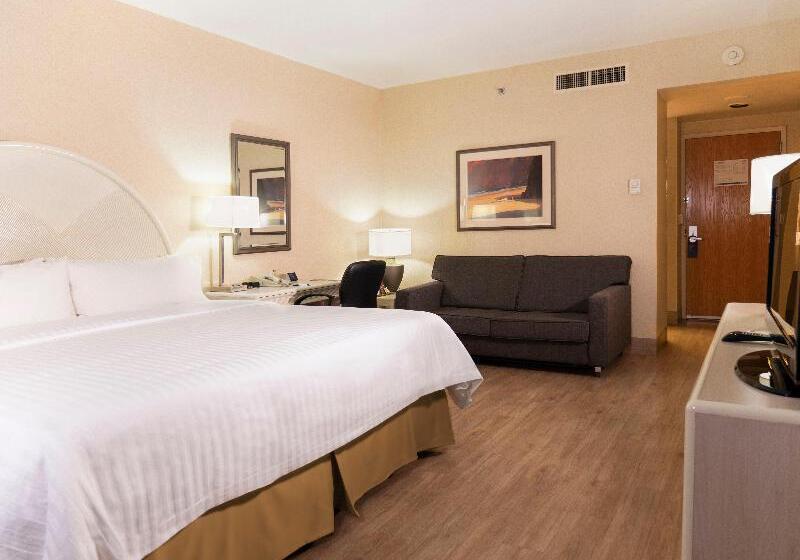 اتاق استاندارد با تخت بزرگ, Holiday Inn Express Torreon, An Ihg