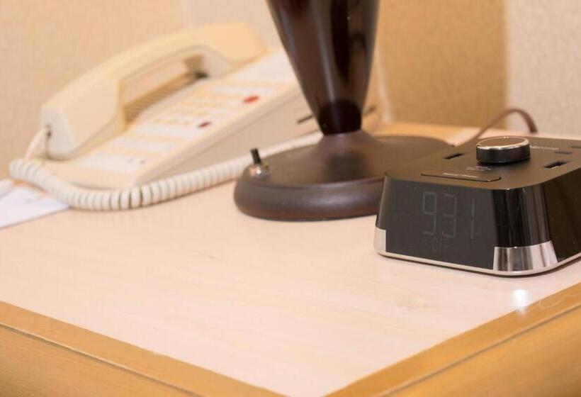 اتاق استاندارد با تخت بزرگ, Istay Hotel Ciudad Victoria