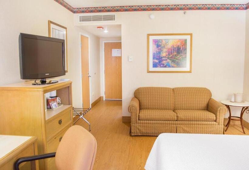 اتاق استاندارد با تخت بزرگ, Istay Hotel Ciudad Victoria