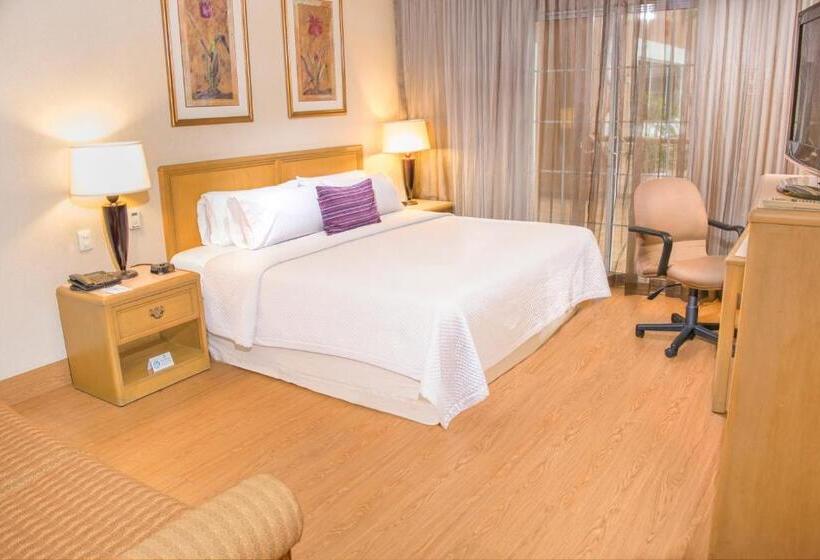اتاق استاندارد با تخت بزرگ, Istay Hotel Ciudad Victoria