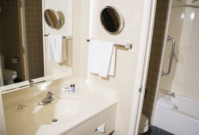 اتاق استاندارد, Istay Hotel Ciudad Victoria
