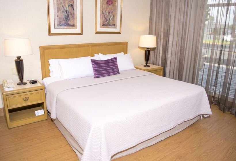 اتاق استاندارد, Istay Hotel Ciudad Victoria