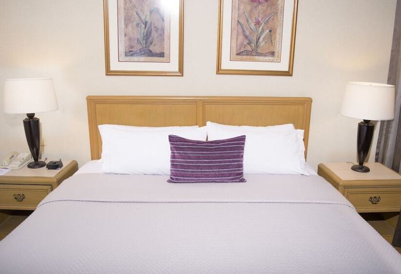 اتاق استاندارد, Istay Hotel Ciudad Victoria