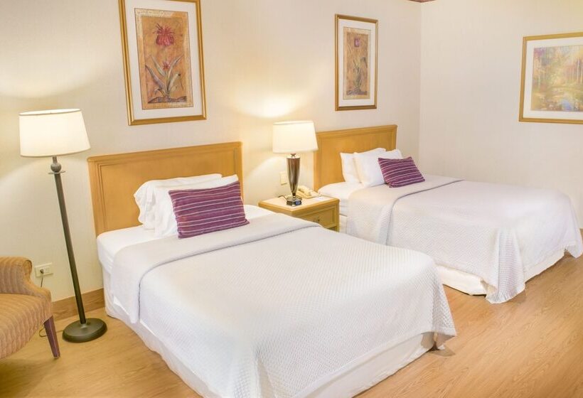 اتاق استاندارد, Istay Hotel Ciudad Victoria