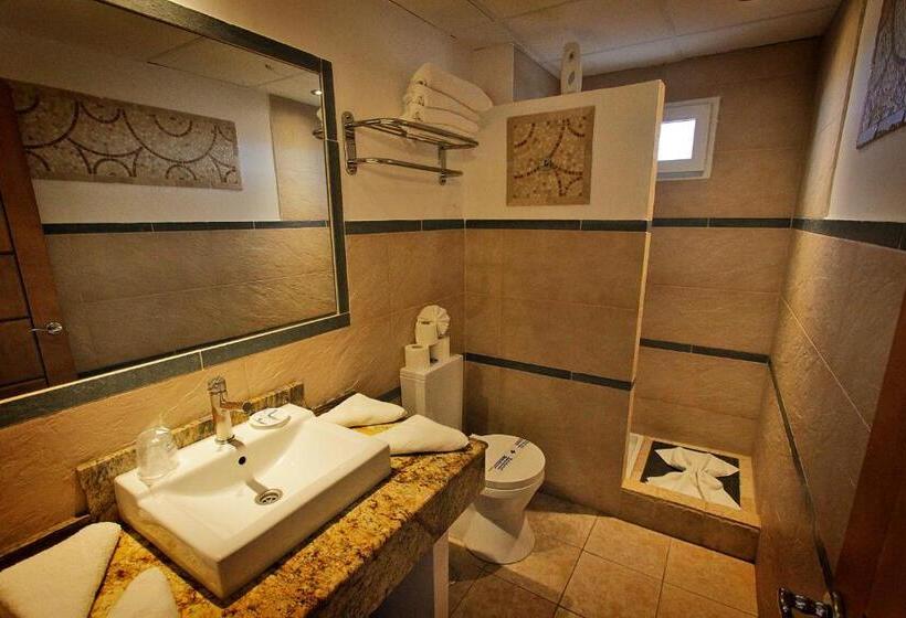 آپارتمان سوپریور 1 خوابه, Aparthotel Maracaibo