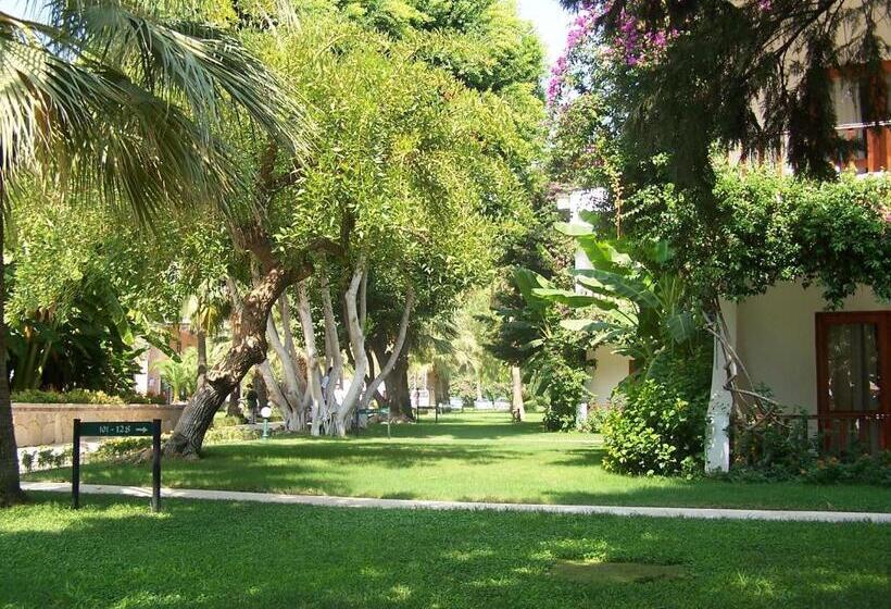 اتاق استاندارد, Club Boran Mare Beach   All Inclusive