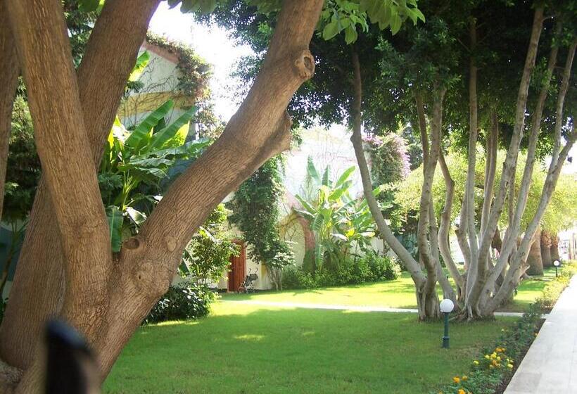 اتاق استاندارد, Club Boran Mare Beach   All Inclusive