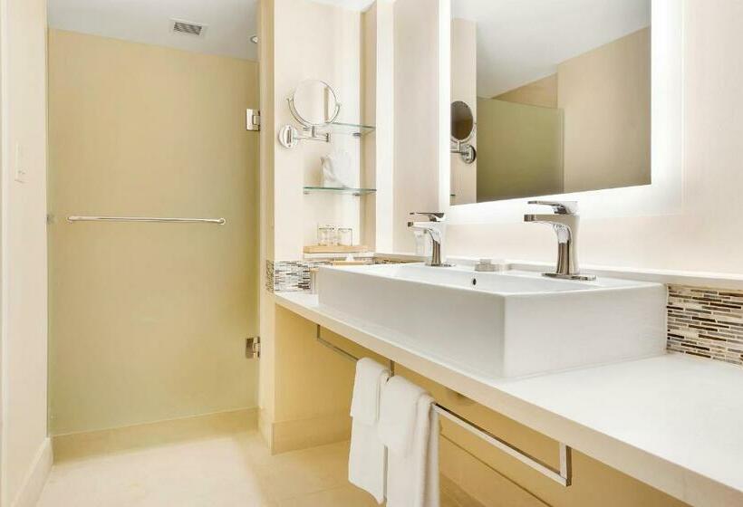 سوئیت جونیور با تخت بزرگ, Eden Roc Miami Beach