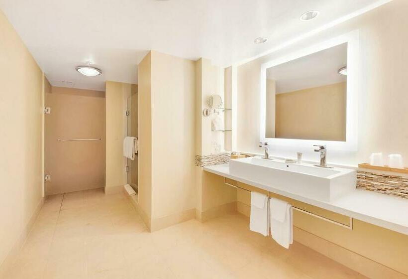 اتاق پرمیوم با چشم‌انداز دریا, Eden Roc Miami Beach