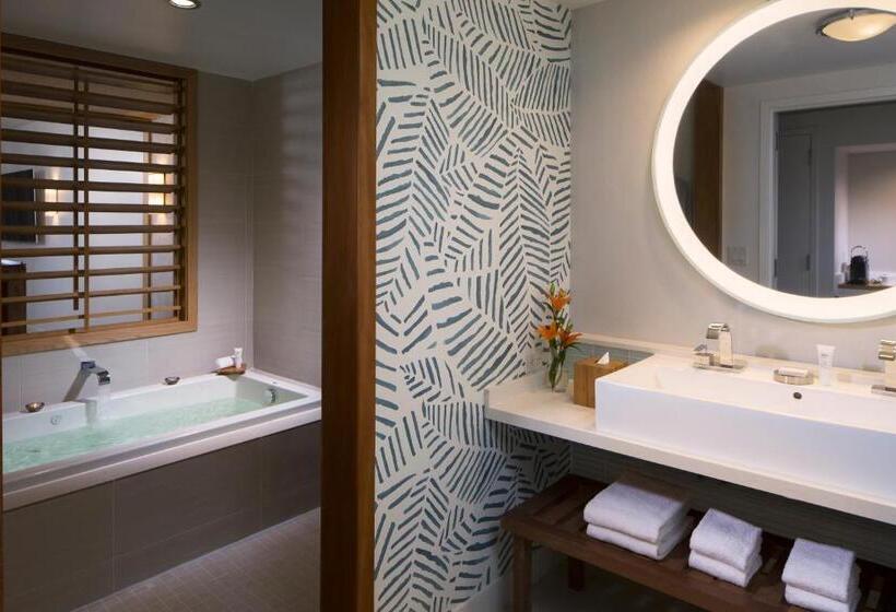 سوئیت جونیور با تخت بزرگ, Eden Roc Miami Beach