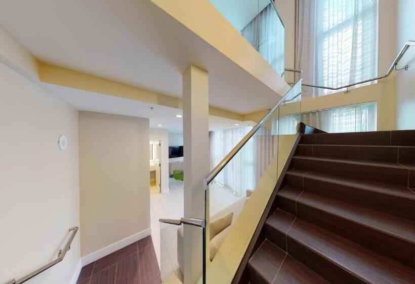 اتاق استاندارد با تخت بزرگ, Eden Roc Miami Beach