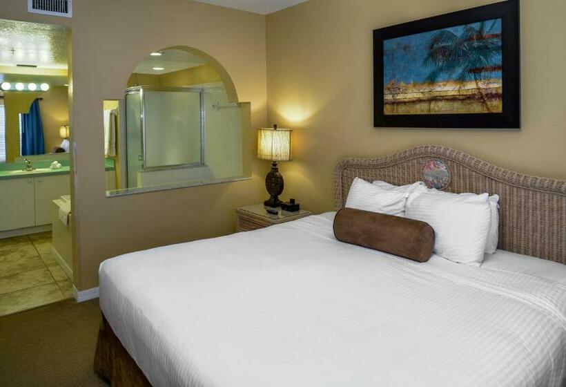 آپارتمان 3 خوابه, Hilton Vacation Club Aqua Sol Orlando West