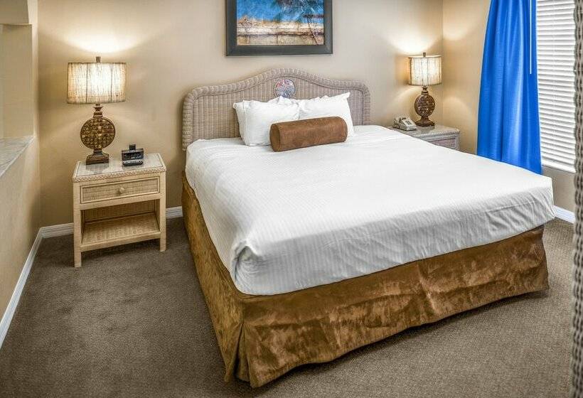 آپارتمان 3 خوابه, Hilton Vacation Club Aqua Sol Orlando West