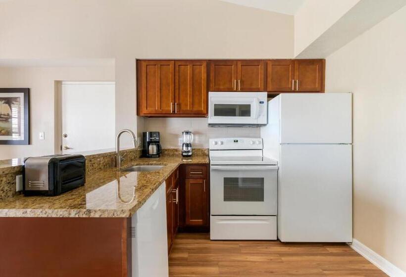 آپارتمان 1 خوابه, Hilton Vacation Club Aqua Sol Orlando West