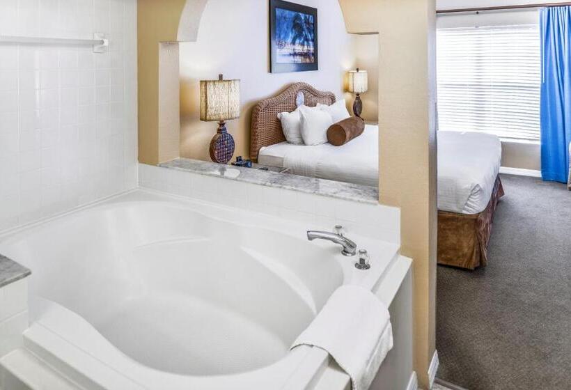 آپارتمان 2 خوابه, Hilton Vacation Club Aqua Sol Orlando West