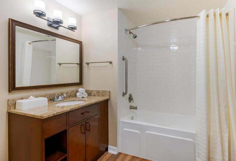 آپارتمان 3 خوابه, Hilton Vacation Club Aqua Sol Orlando West