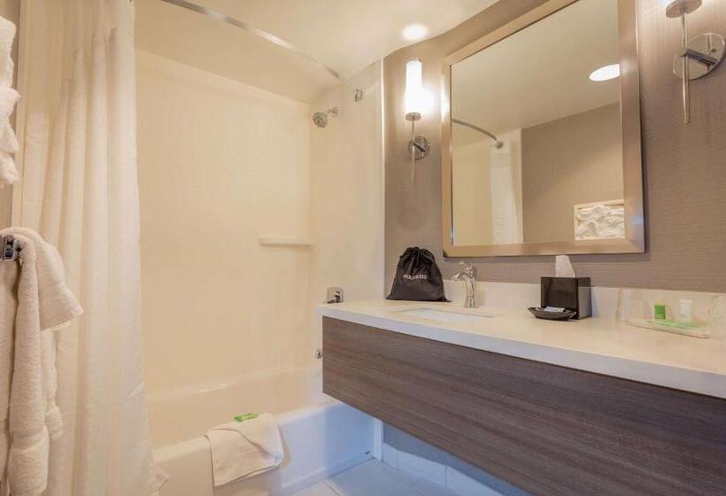 Habitación Deluxe Adaptada para personas con movilidad reducida, Sonesta Anaheim Resort Area