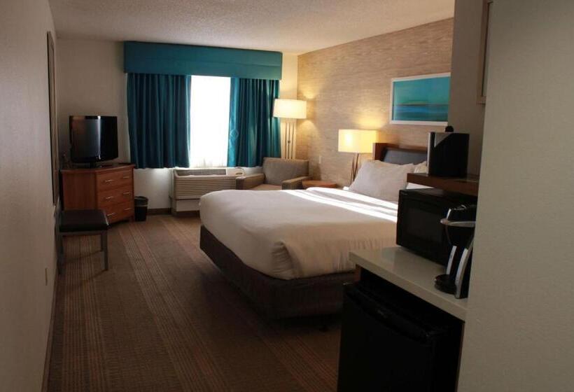 اتاق اجرایی با تخت بزرگ, Sonesta Anaheim Resort Area