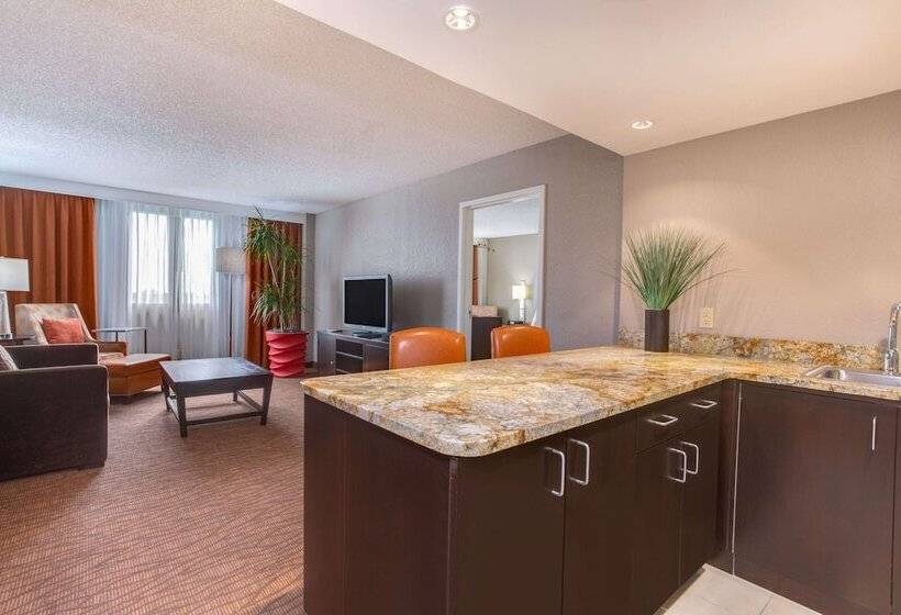 Suite, Sonesta Miami Airport